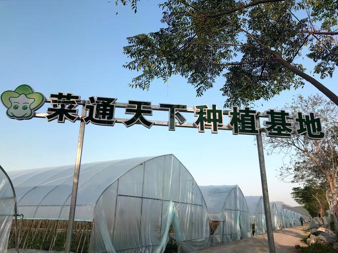 温州市八仟客餐饮管理 以专业服务赋能餐饮品牌新价值